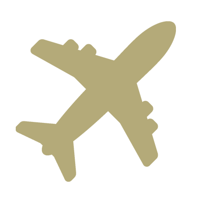 airplane icon