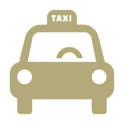 taxi icon